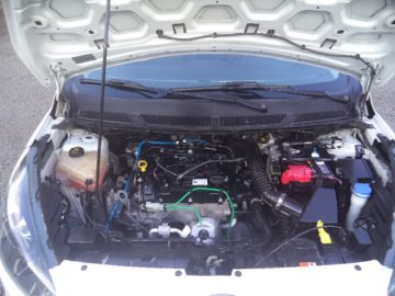 KA 1.0 SE HATCH